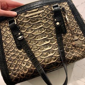 Brahmin Purse